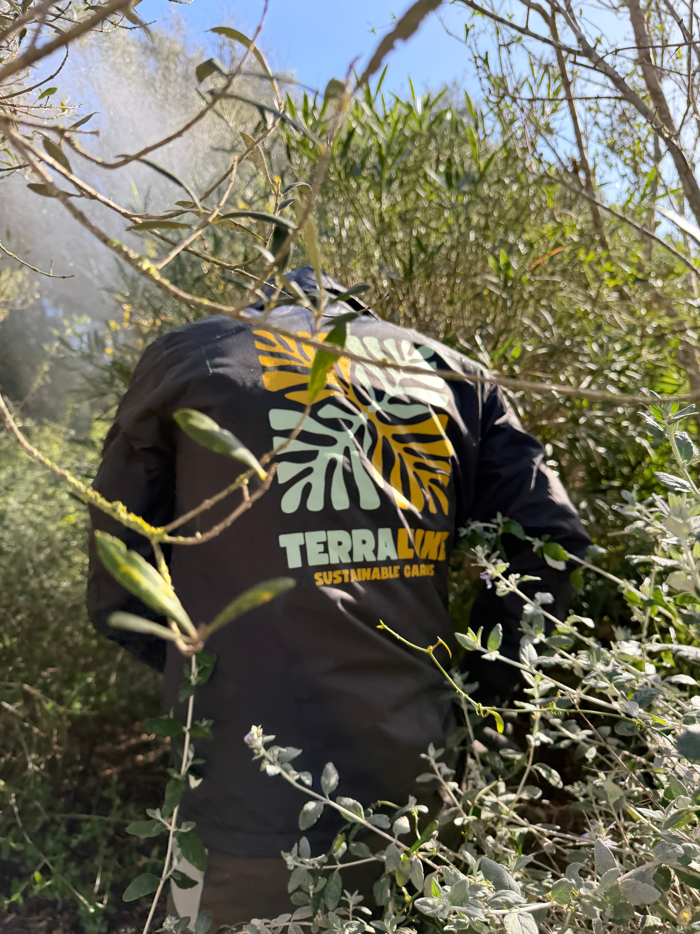 TerraLuxe Gardens gardener in a branded jacket walking among olive trees and Mediterranean vegetation in Mallorca