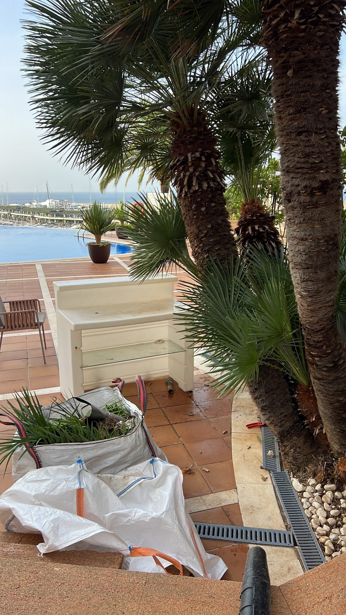 Pruned palm fronds beside a Mallorca seafront villa pool