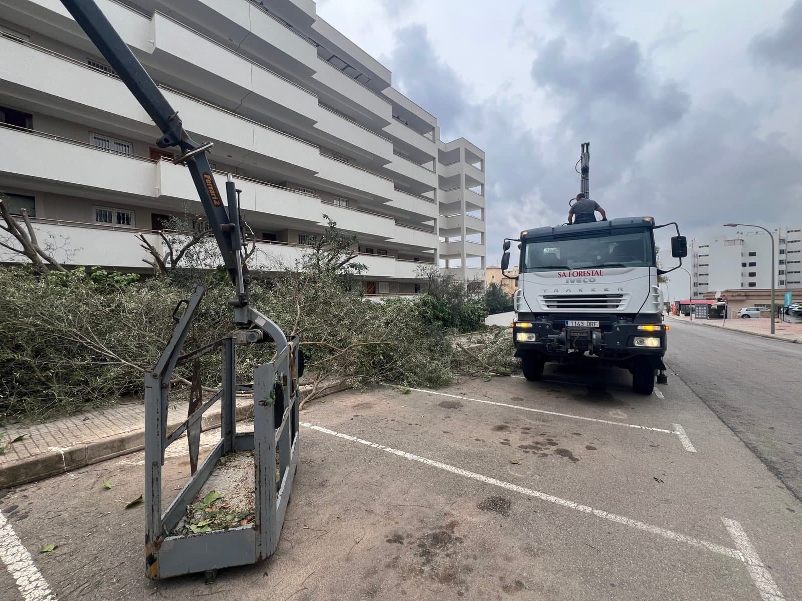 Sa Forestal lift truck collecting branches after an urban tree felling in Mallorca