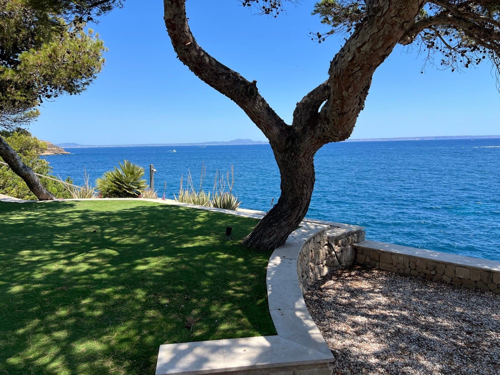 Detalle de plantación mediterránea en jardín privado de villa mallorquina por TerraLuxe Gardens