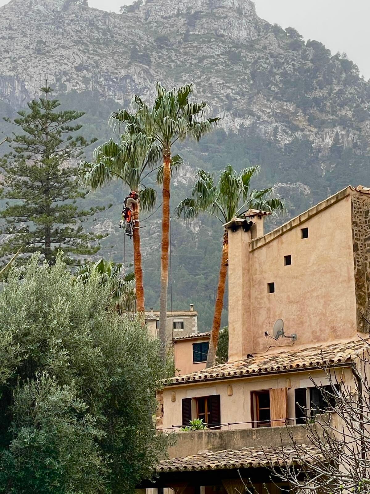 Jardín mediterráneo destacado en Deià mantenido por TerraLuxe Gardens en la Tramuntana de Mallorca