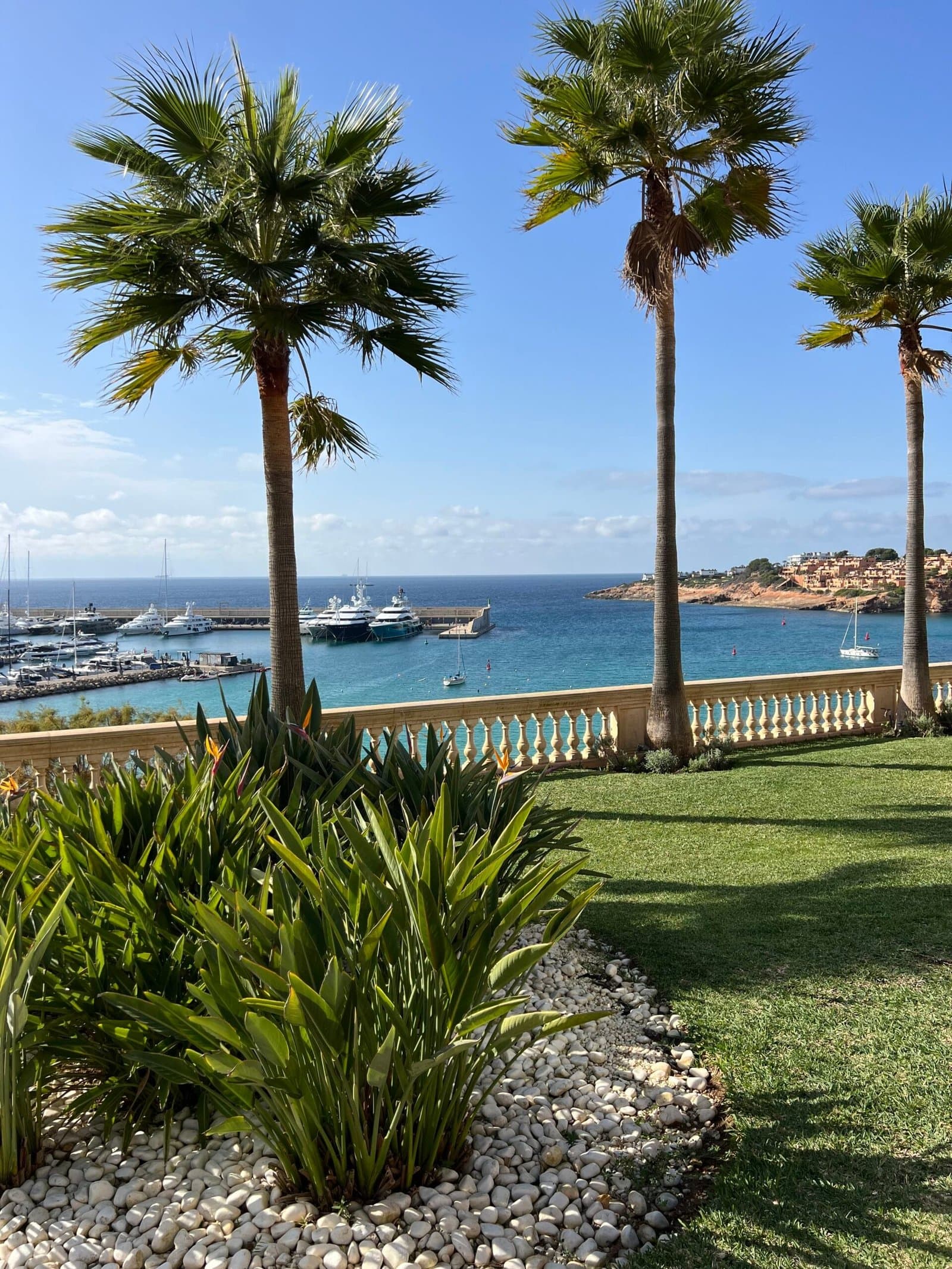 Jardín de villa en Portals atendido por TerraLuxe Gardens en la costa suroeste de Mallorca