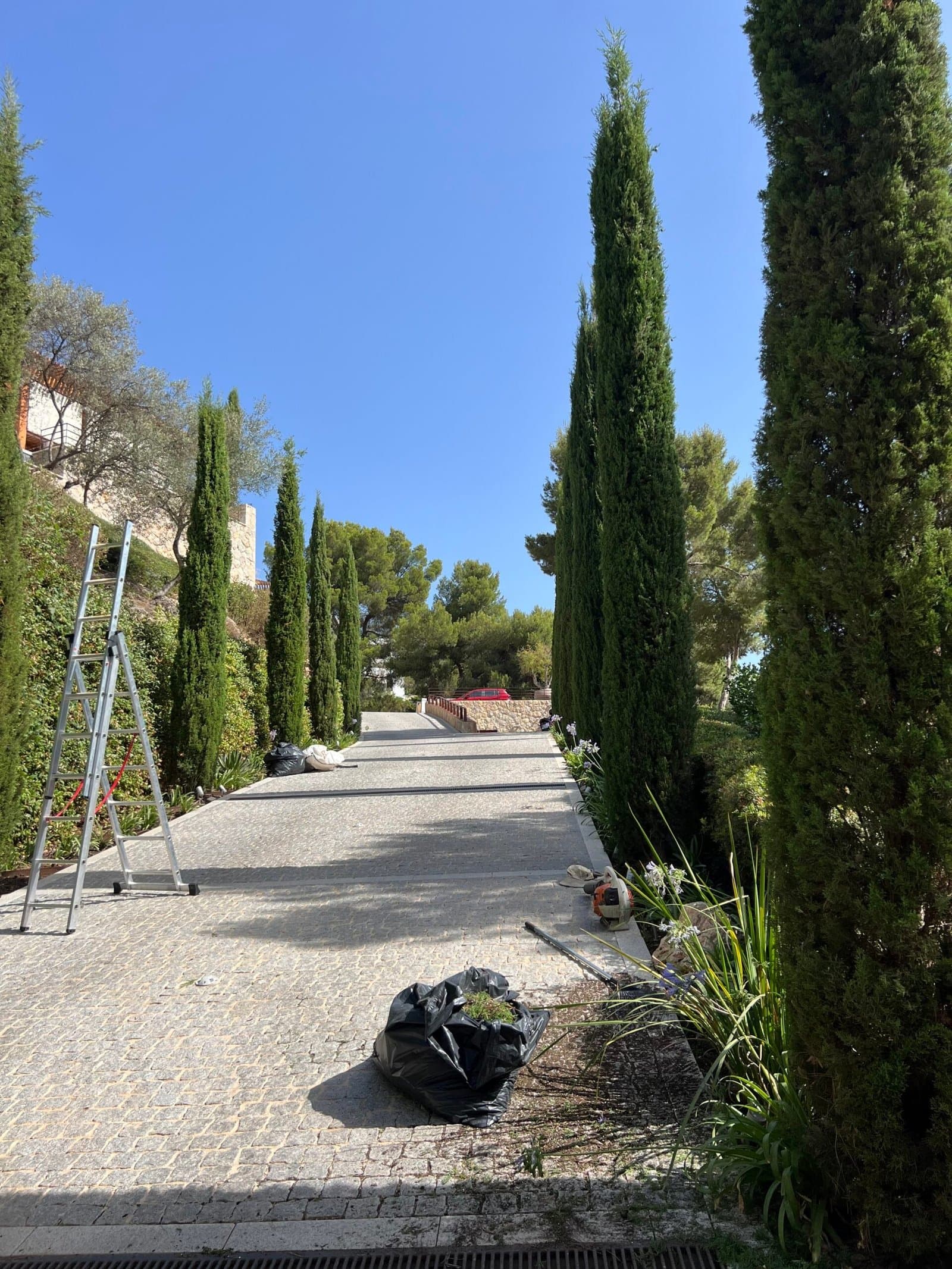Jardín de villa en Son Vida cuidado por TerraLuxe Gardens en Palma de Mallorca