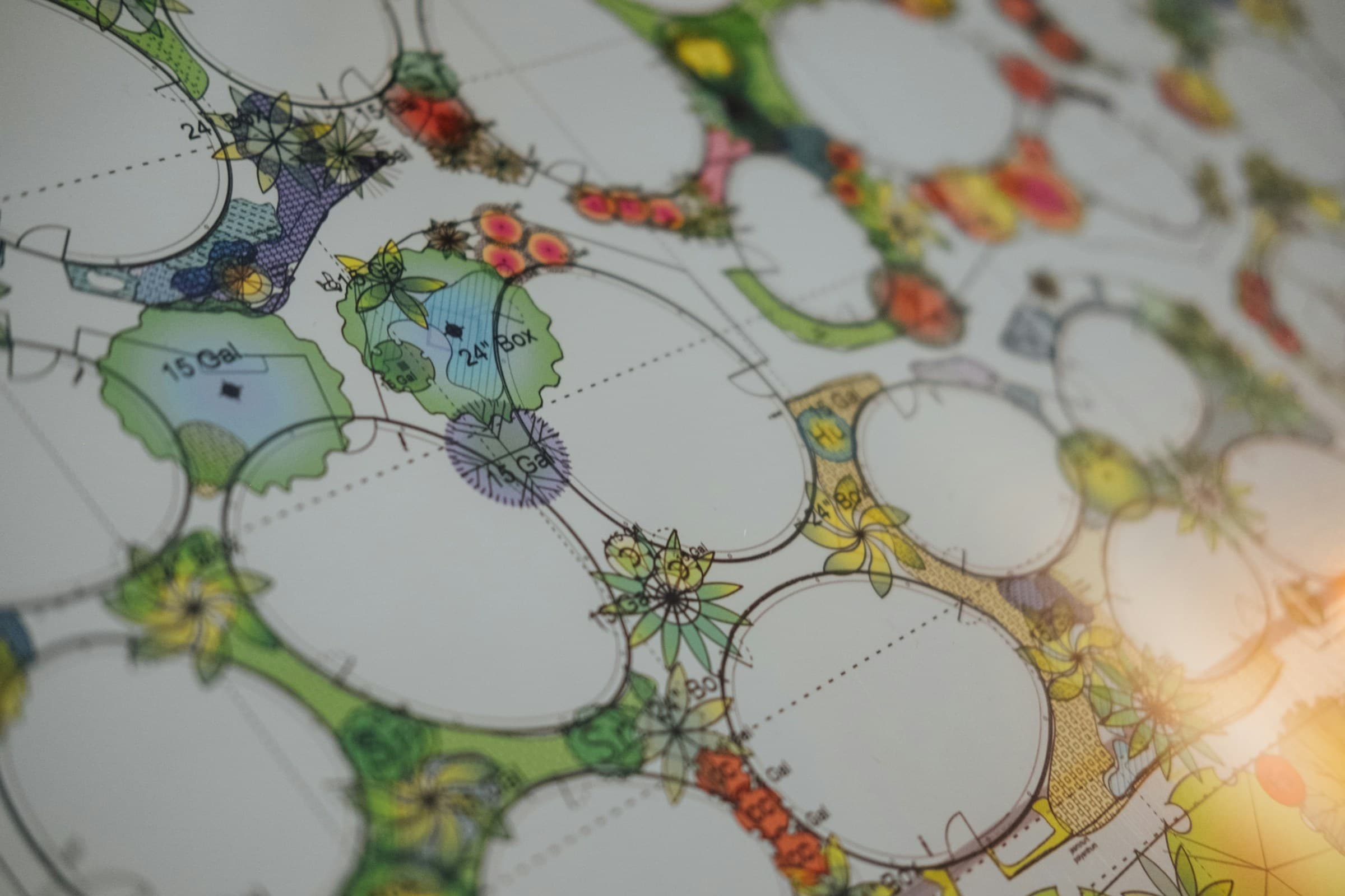 Hand-drawn plan of a Mediterranean garden with annotated plant palette