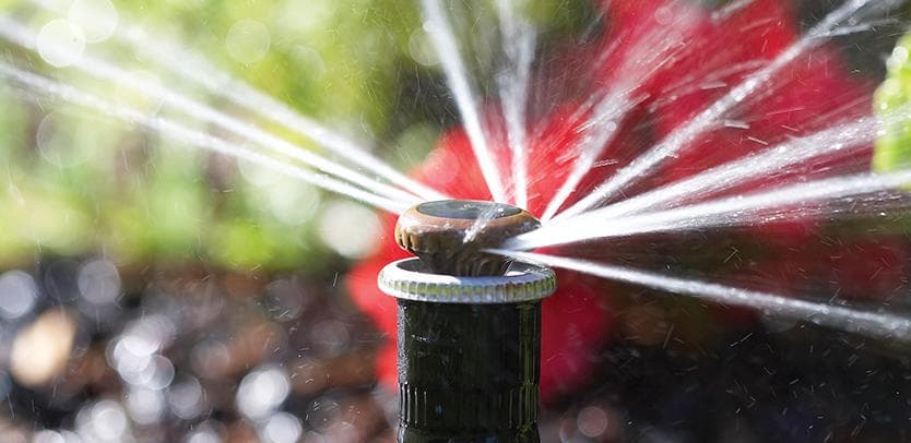 Multi-stream sprinkler in action with visible rotating water arcs and red flower bokeh in the background of a Mediterranean garden