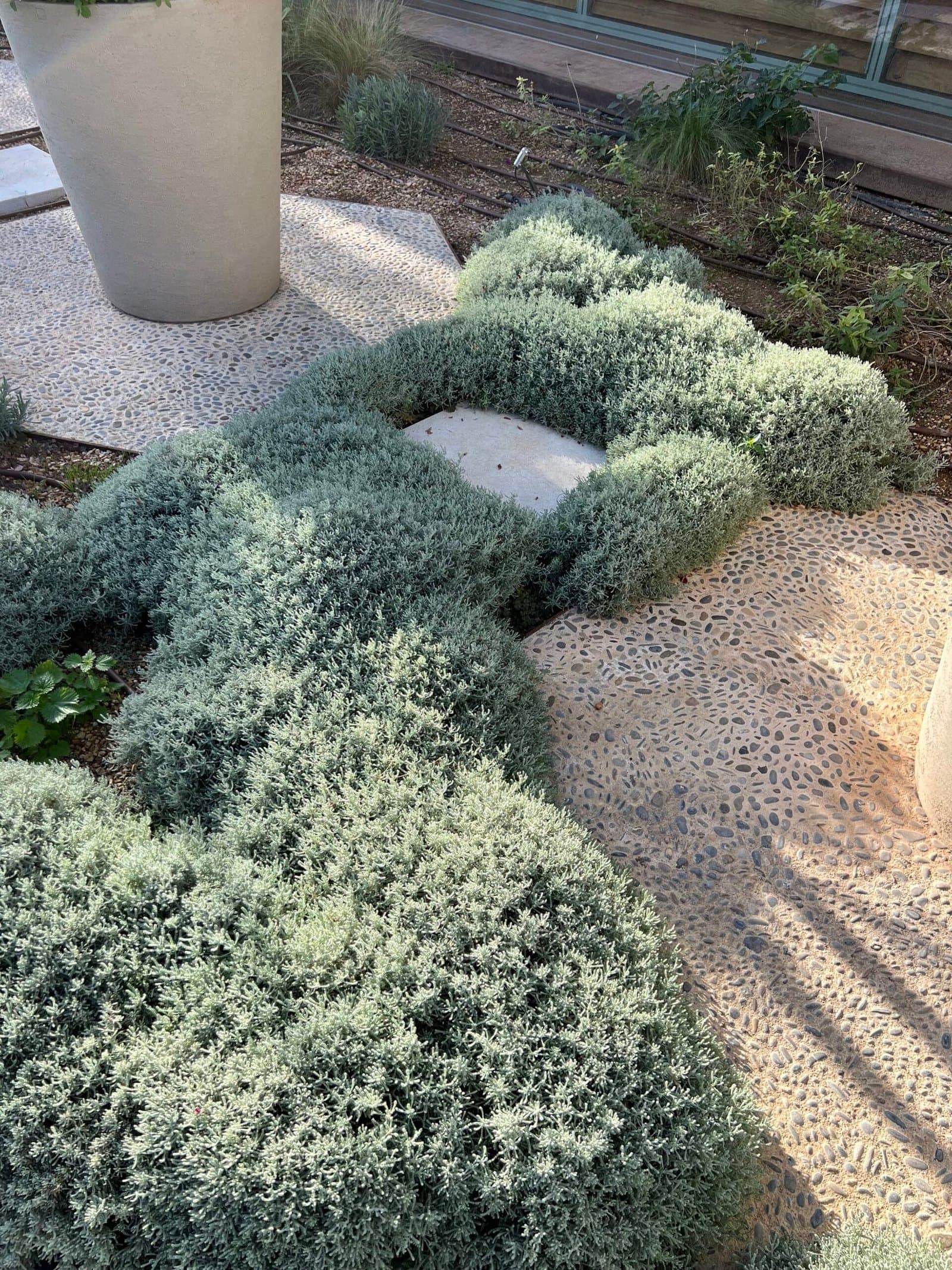 Topiary shrub trimmed into shape in a Mallorca garden