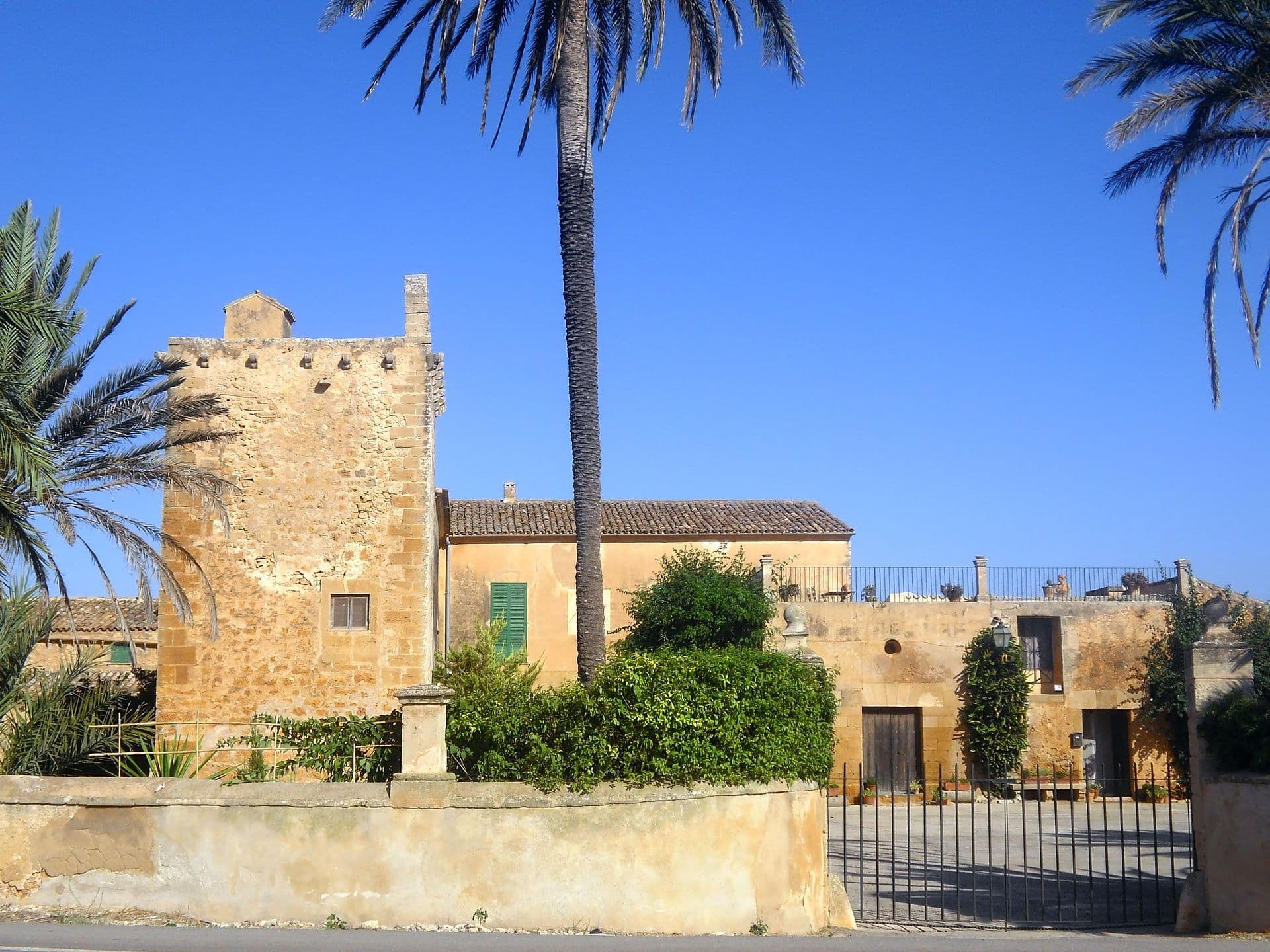 Possessió Son Catlar in Campos mit Wehrturm und Dattelpalme, Mallorca