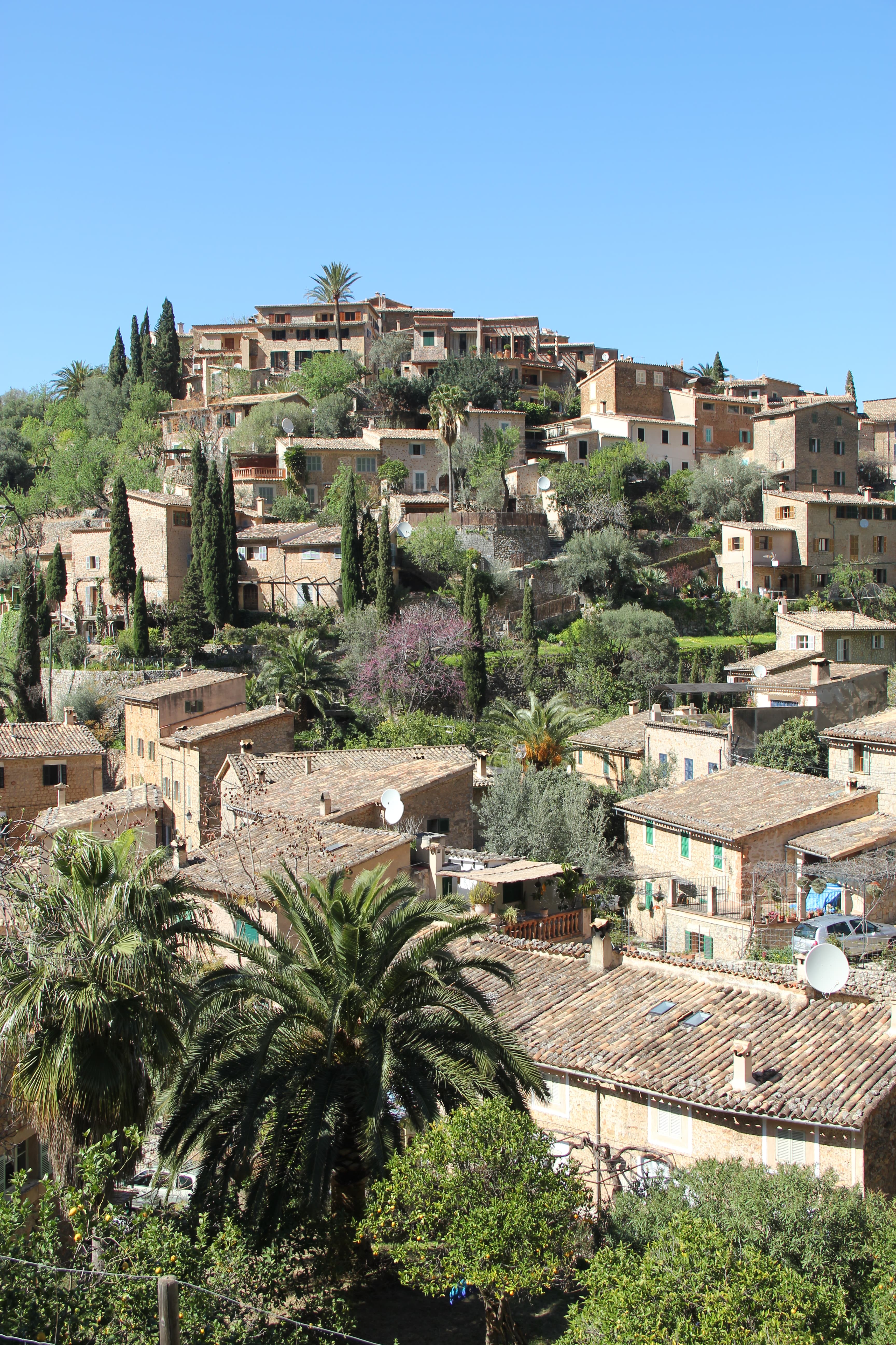 Poble cònic de Deià amb església al cim i palmera en primer pla, Tramuntana, Mallorca