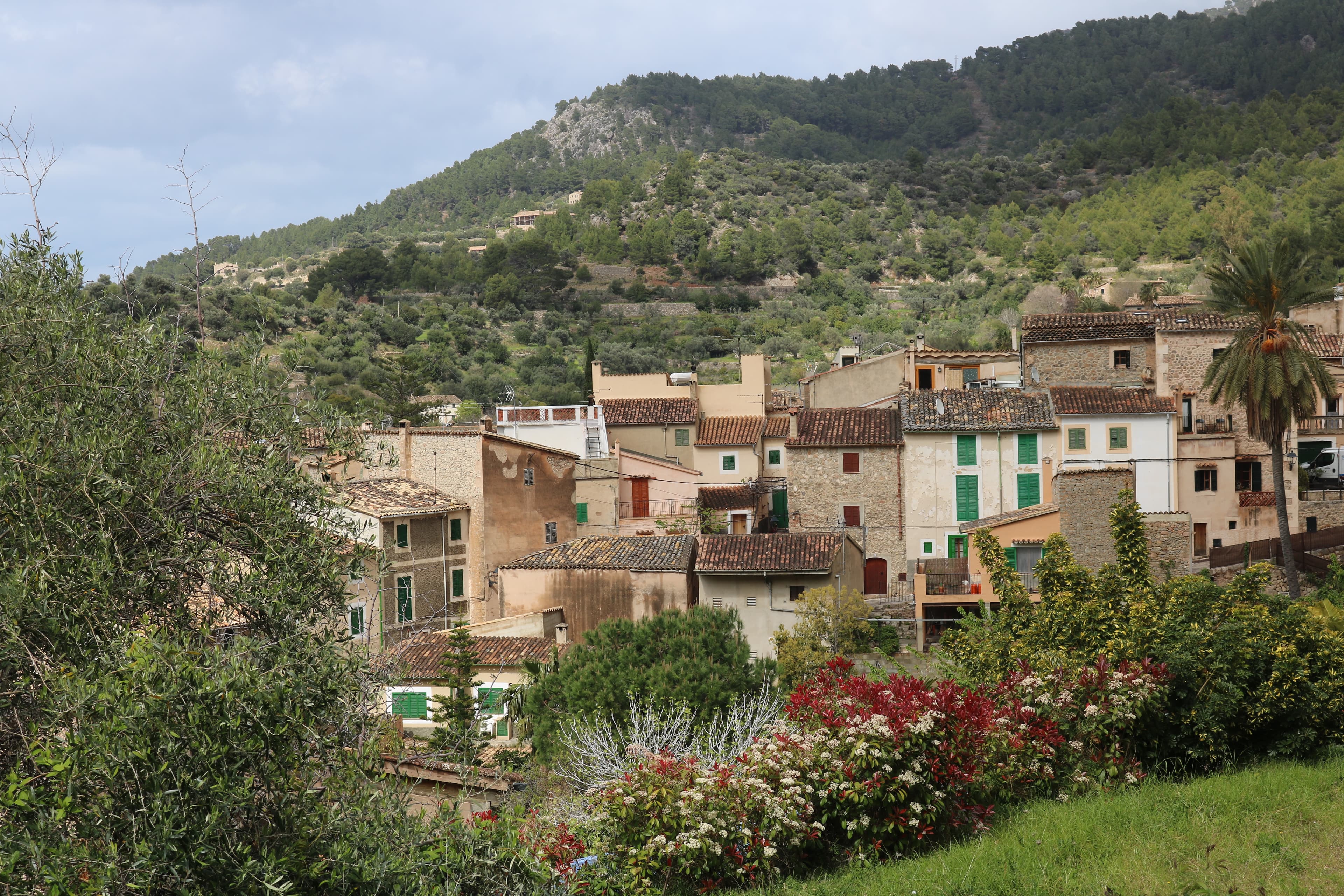 Cases d'arenisca amb persianes verdes a la part baixa d'Estellencs i serra de Tramuntana al darrere