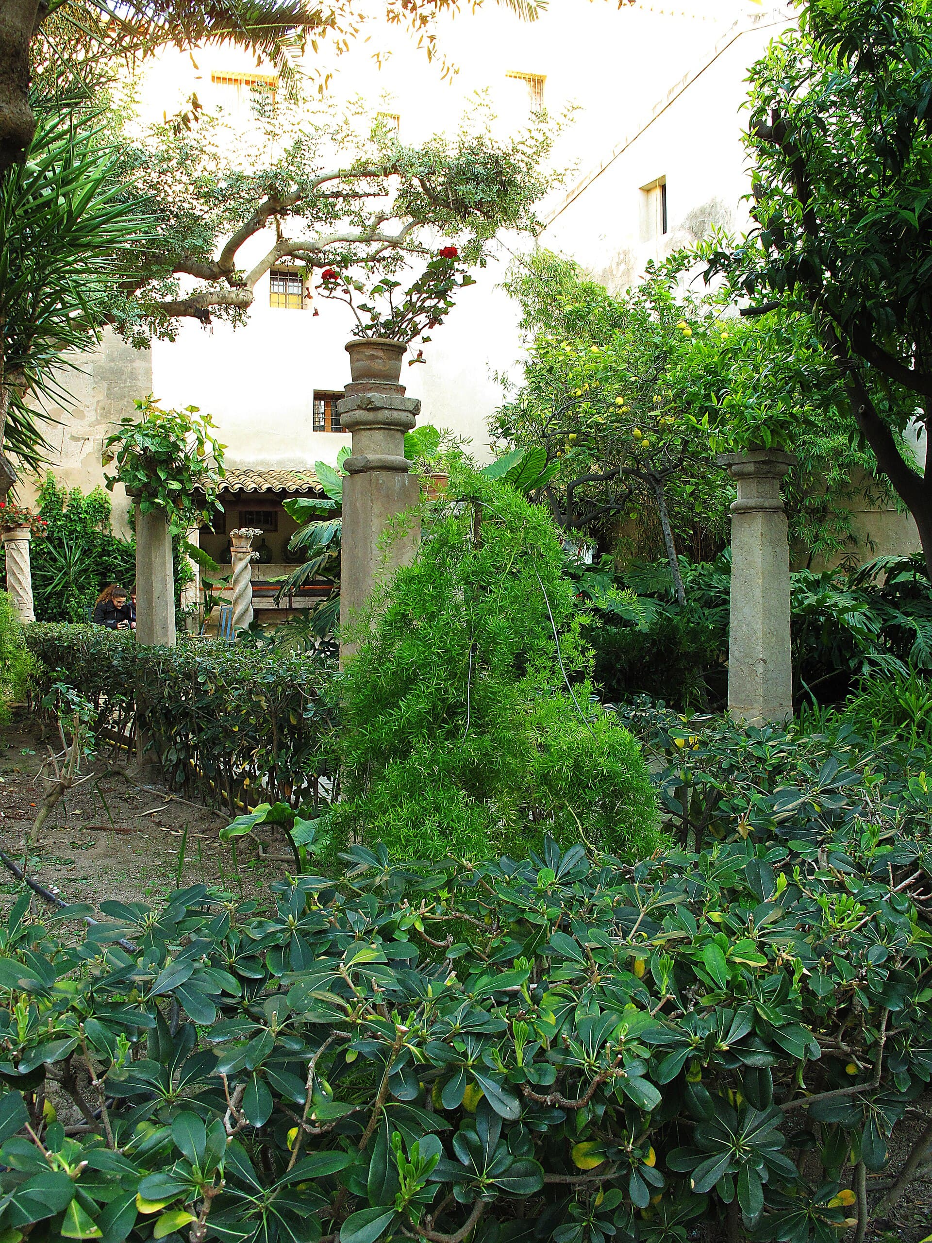Garten der Banys Àrabs in Palma mit Zitrusbäumen, Steinsäulen und Palmen