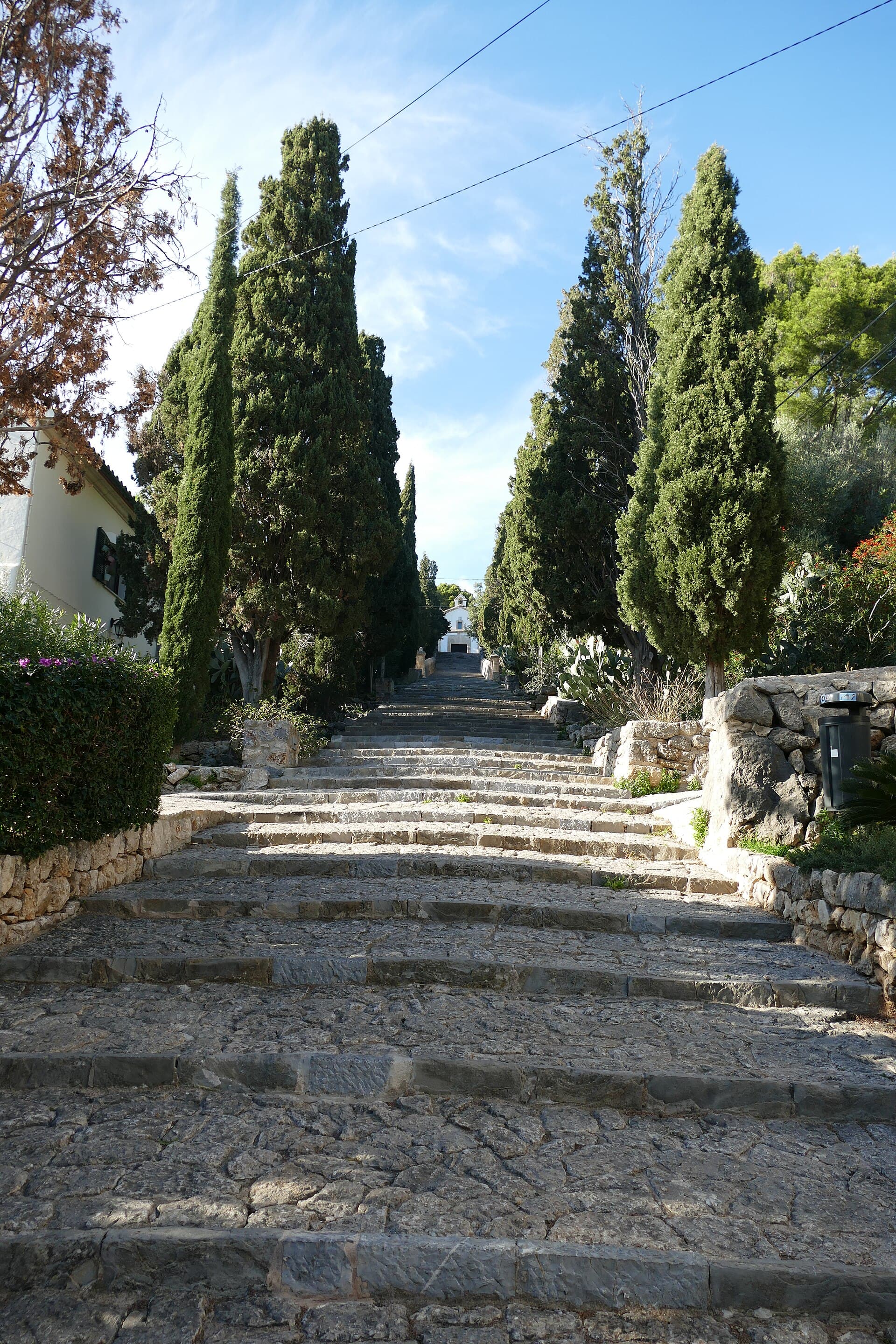Calvari stone steps in Pollença flanked by tall Mediterranean cypresses on both sides, Mallorca