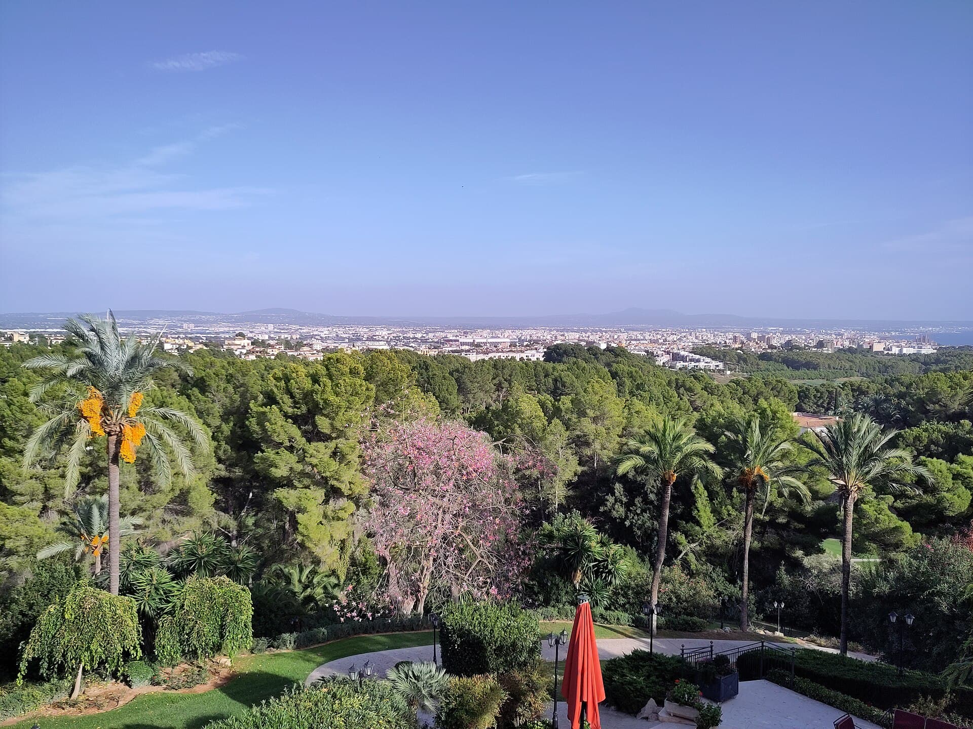 Blick von Son Vida über Palma mit Palme, Kiefer und reifem Villengarten, Mallorca