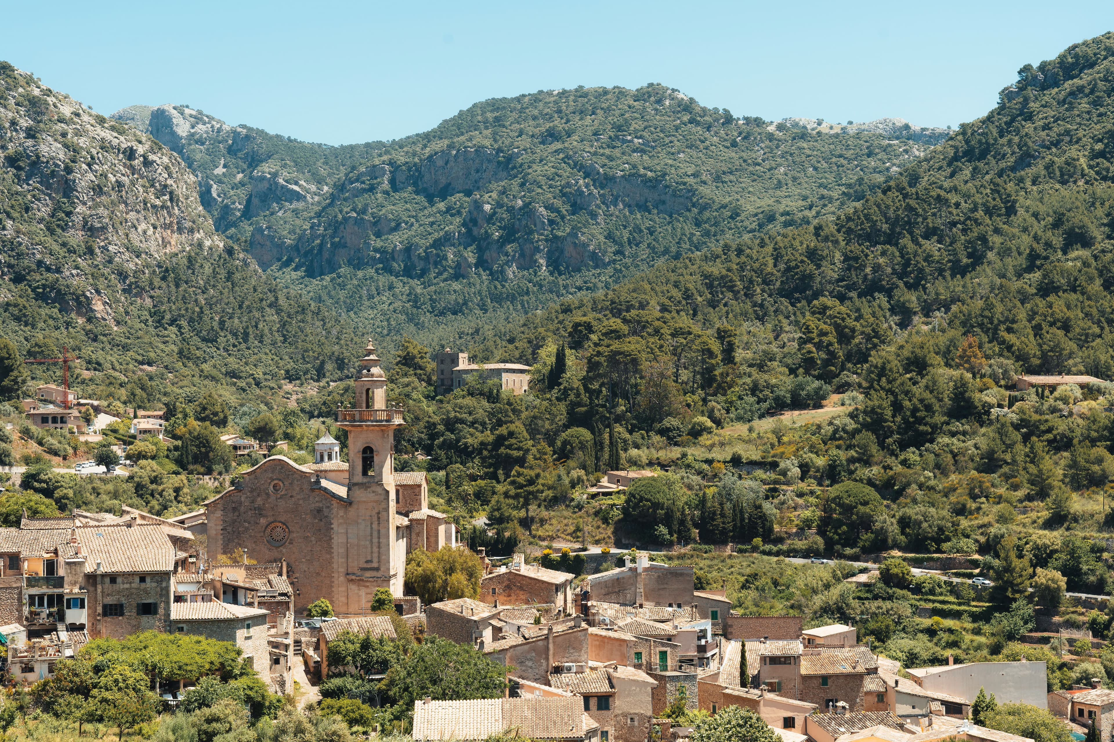 Pati empedrat de finca rústica de Mallorca amb olivera i palmera datilera