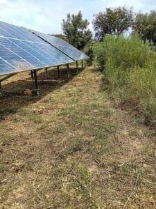 Plot Clearing with Trimmer